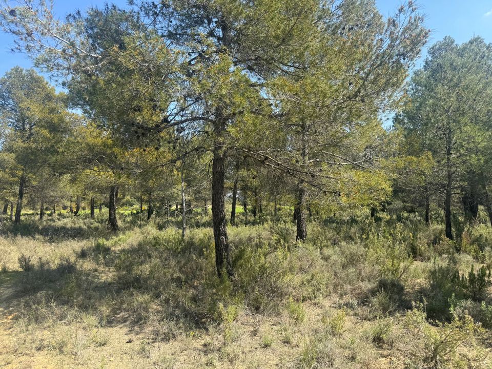 Tomt i Cretas, Teruel - bilde 1